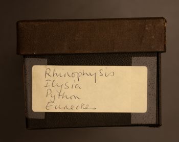 Media type: image;   Herpetology R-195475 documents cataloged_item R-195476 documents cataloged_item R-195477 documents cataloged_item R-195478 documents cataloged_item R-195479 Description: Digital photo of Bellairs box to document exterior text;